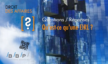 EIRL. Entreprise individuelle à responsabilité limitée.